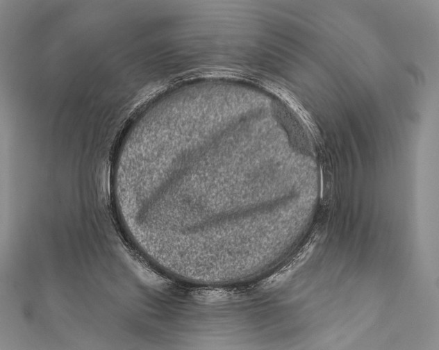 X0000111870253200908201223