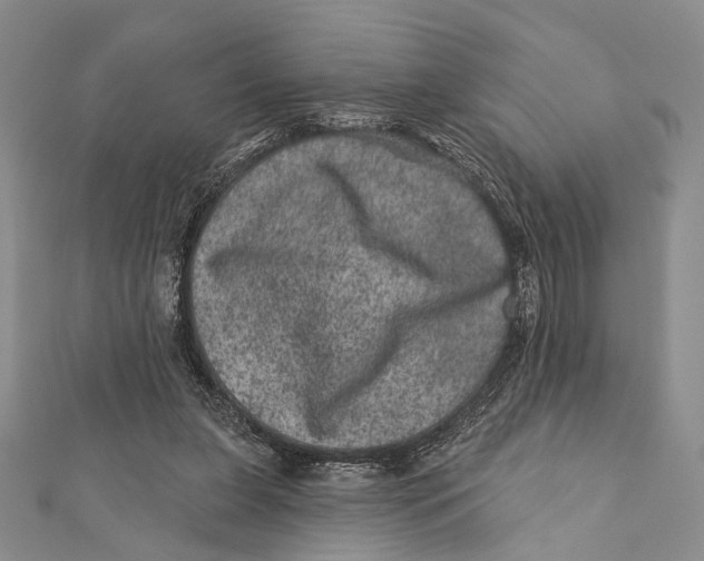 X0000111870255200908201223