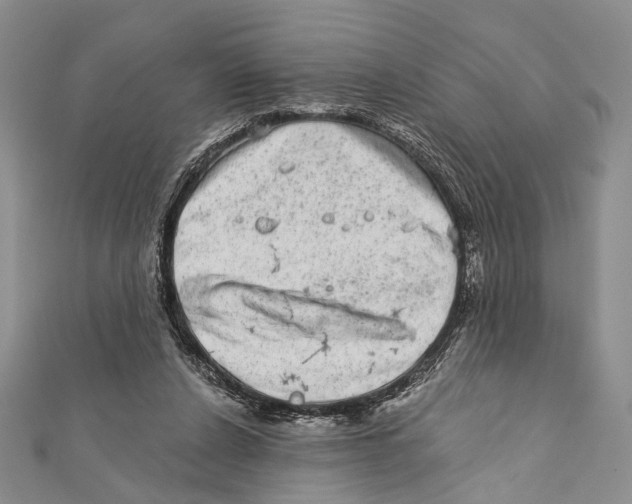 X0000111870256200908201223