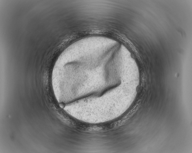 X0000111870257200908201223