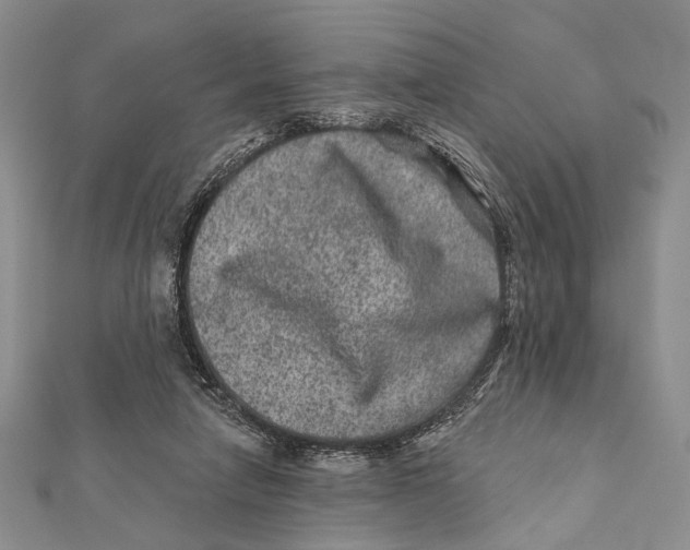 X0000111870258200908201223