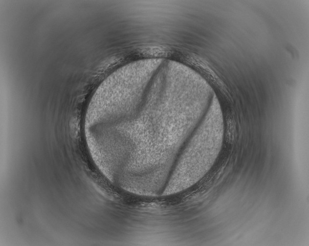 X0000111870259200908201223