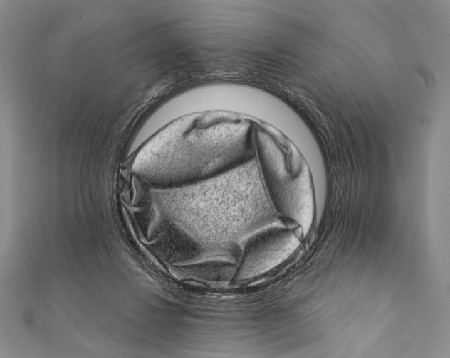 X0000111870260200908201223