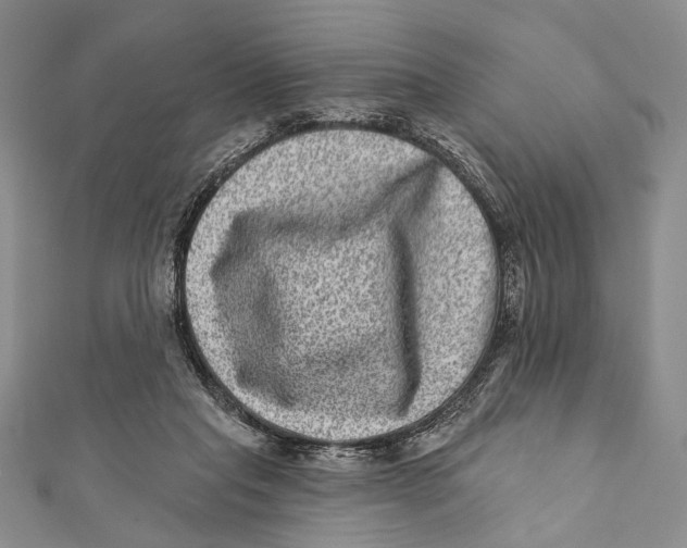 X0000111870261200908201223