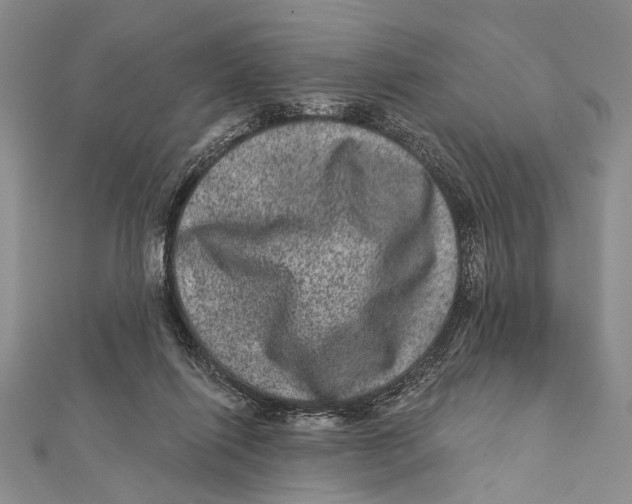 X0000111870262200908201223