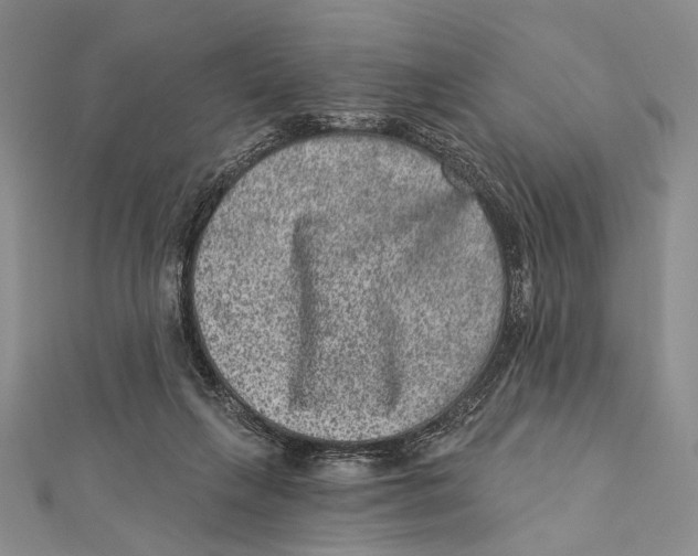 X0000111870263200908201223