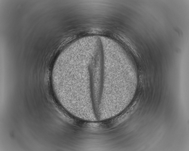 X0000111870265200908201223