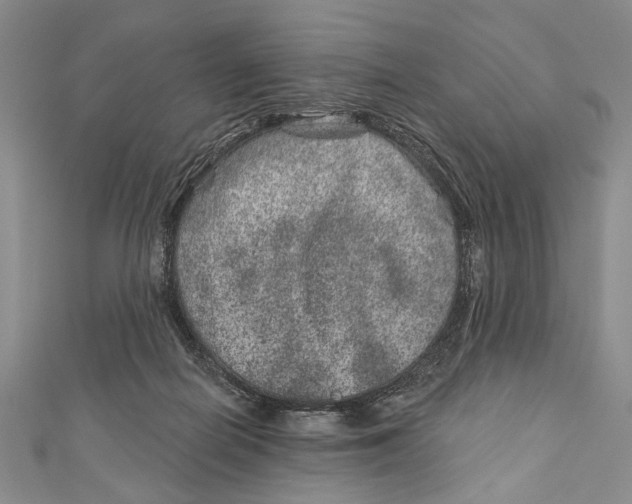 X0000111870266200908201223