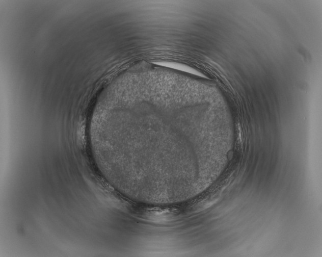 X0000111870267200908201223