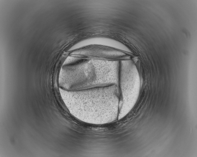 X0000111870268200908201223