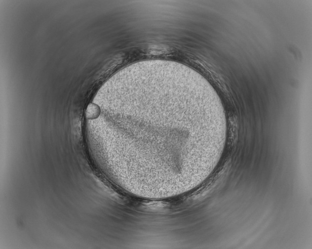 X0000111870269200908201223