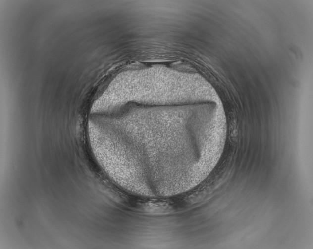 X0000111870270200908201223