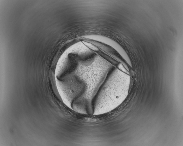 X0000111870272200908201223