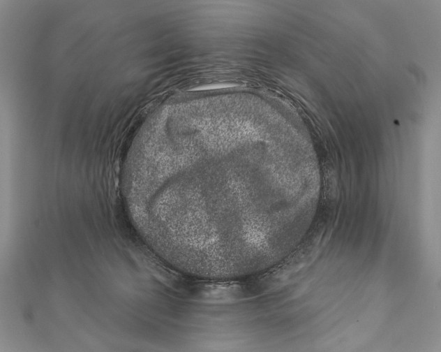 X0000111870274200908201223