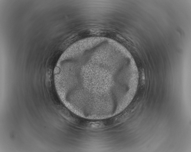 X0000111870275200908201223