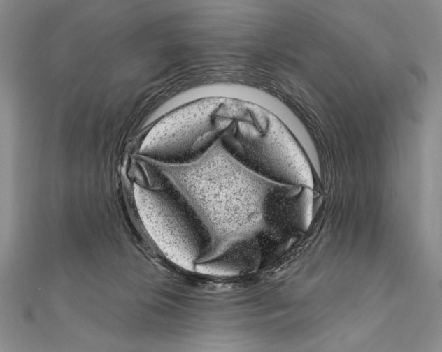 X0000111870276200908201223