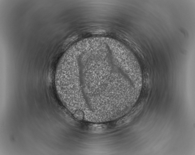 X0000111870277200908201223