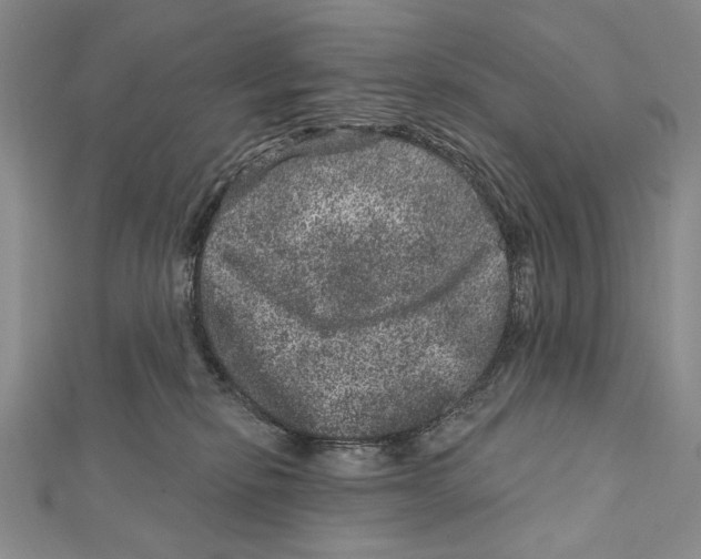 X0000111870278200908201223