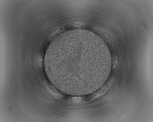 X0000111870279200908201223