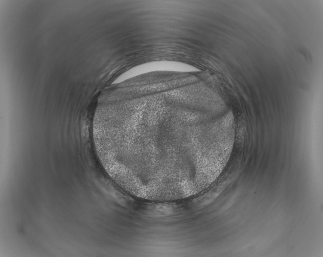 X0000111870282200908201223