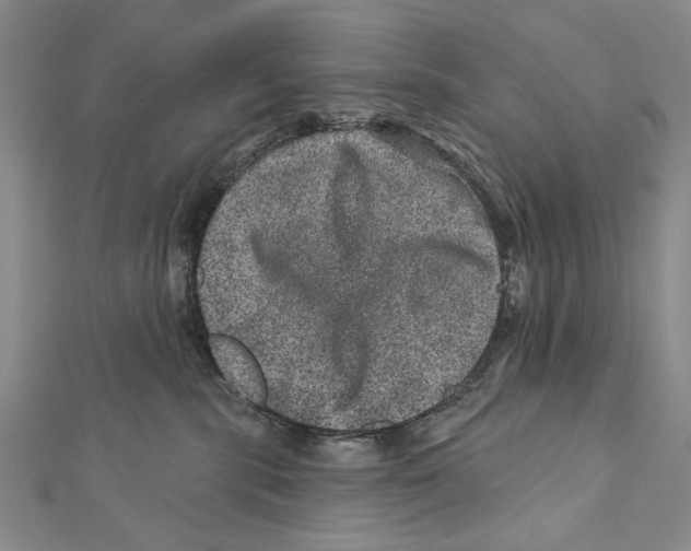 X0000111870283200908201223