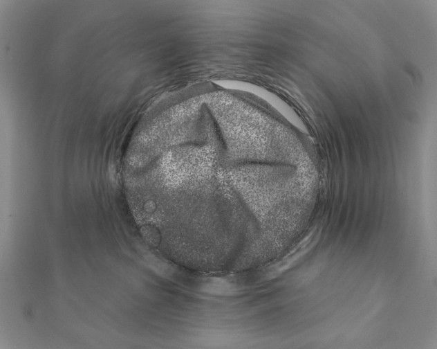 X0000111870285200908201223