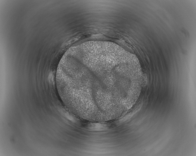 X0000111870286200908201223