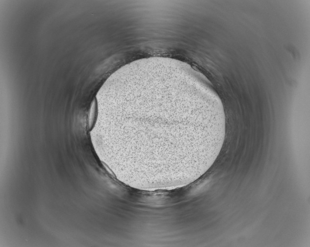 X0000111870288200908201223