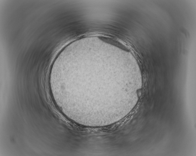 X0000111870289200908201222