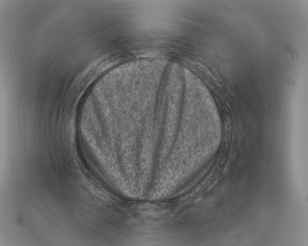 X0000111870290200908201222