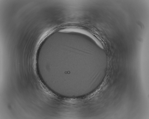 X0000111870293200908201222