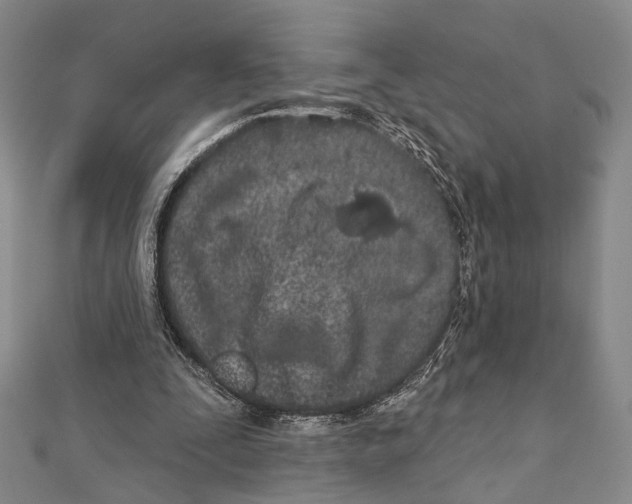 X0000111870295200908201222