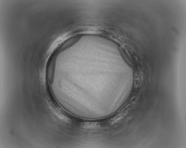 X0000111870296200908201222