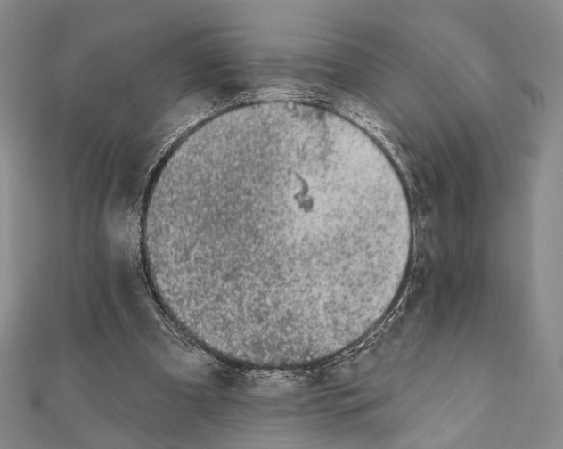 X0000111870297200908201222