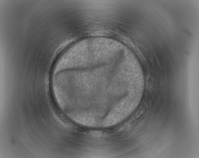 X0000111870298200908201222