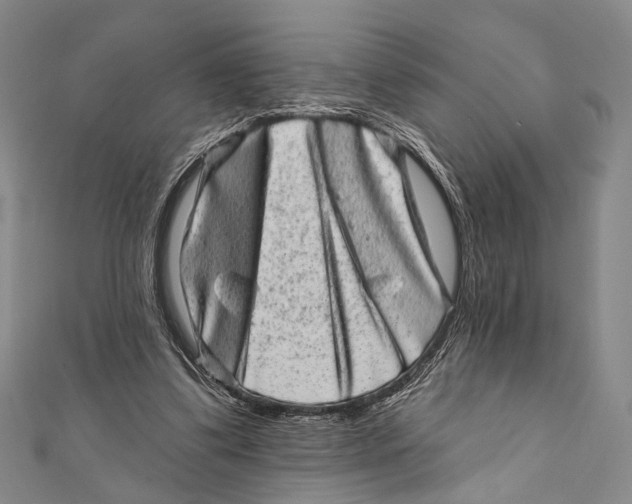 X0000111870299200908201222