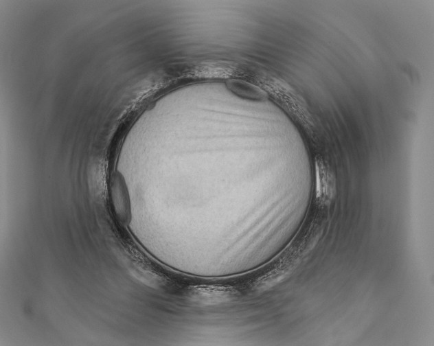 X0000111870300200908201222