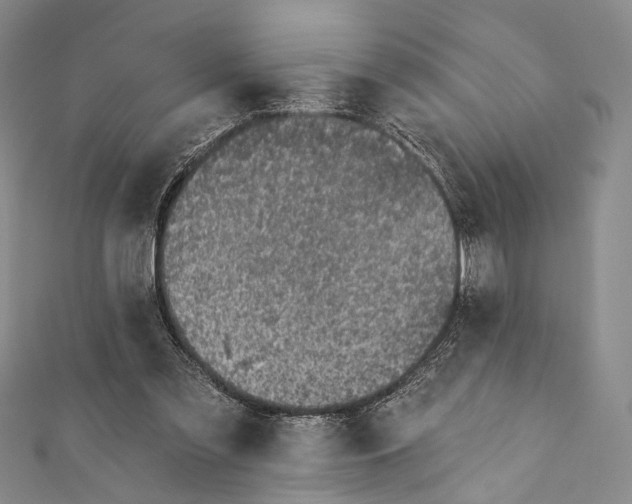 X0000111870301200908201222