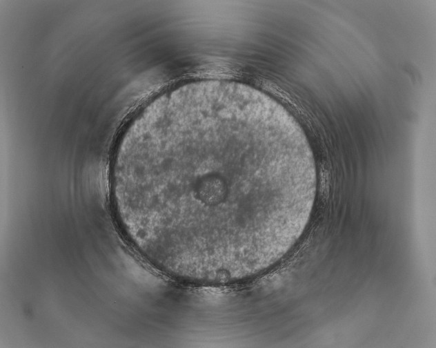 X0000111870302200908201222