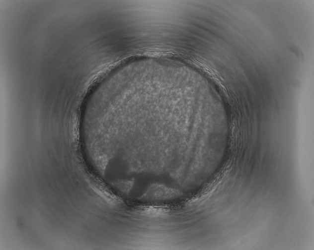 X0000111870303200908201222