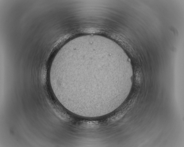 X0000111870304200908201222