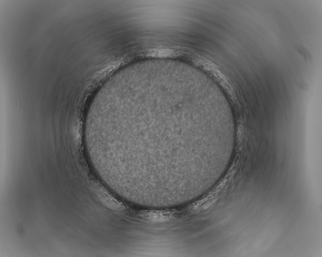 X0000111870305200908201222