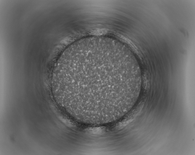 X0000111870307200908201222