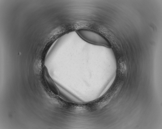 X0000111870308200908201222