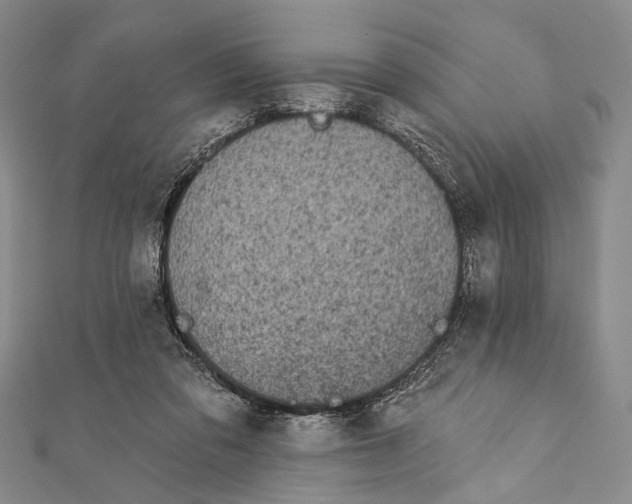 X0000111870309200908201222