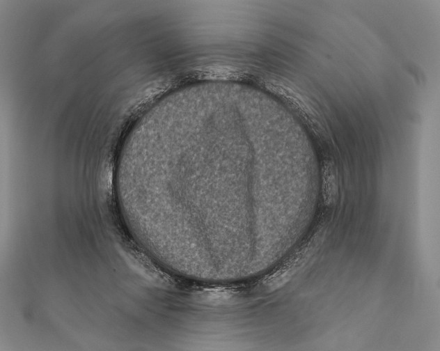 X0000111870310200908201222