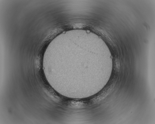 X0000111870311200908201222