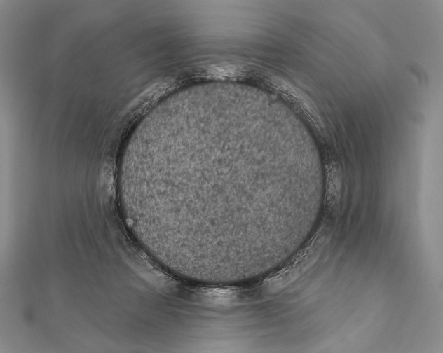 X0000111870313200908201222