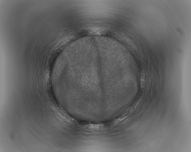 X0000111870314200908201222