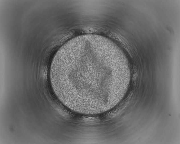 X0000111870315200908201222